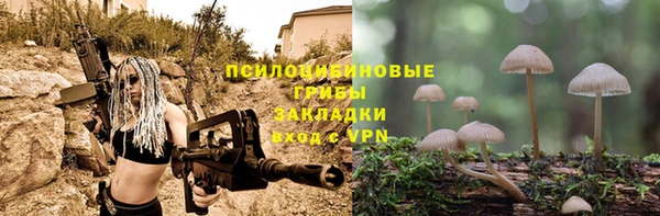 винт Арсеньев