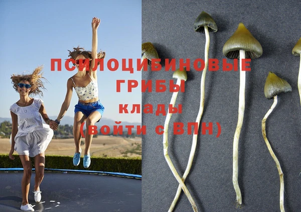 винт Арсеньев